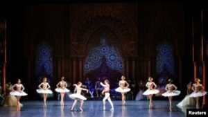 Menelusuri Ragam Keindahan, Jenis-Jenis Opera di Jerman